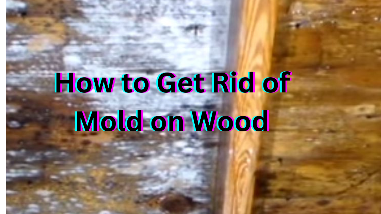 How to Get Rid of Mold on Wood