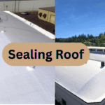 Roof Sealing: Step-by-Step Instructions for Beginners