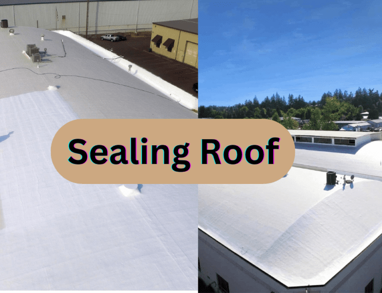 Roof sealing